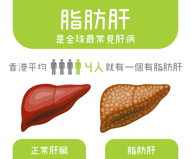 全球最常見肝病