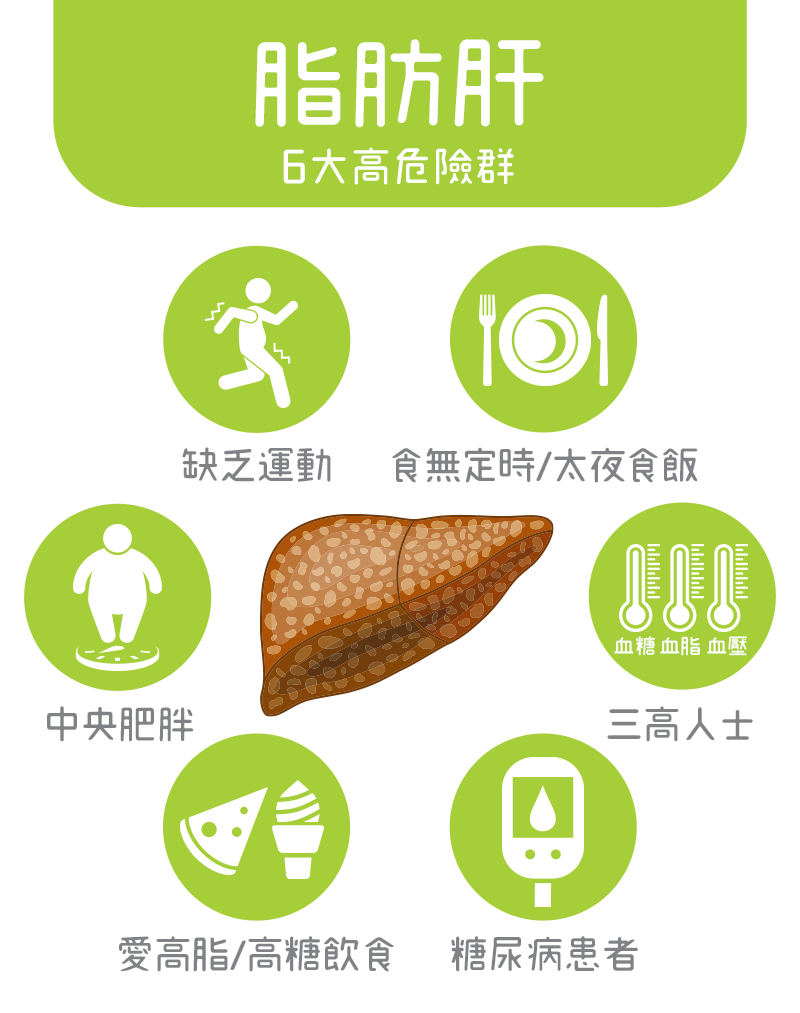 脂肪肝成因